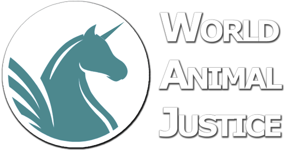 World Animal Justice