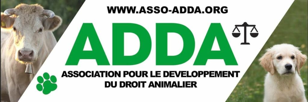 ADDA Logo-WAJ Partner