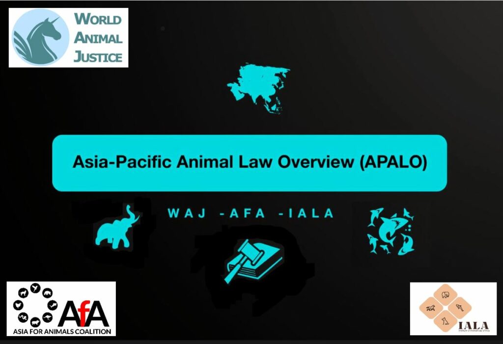 APALO pic with 3 logos-WAJ-AfA-IALA