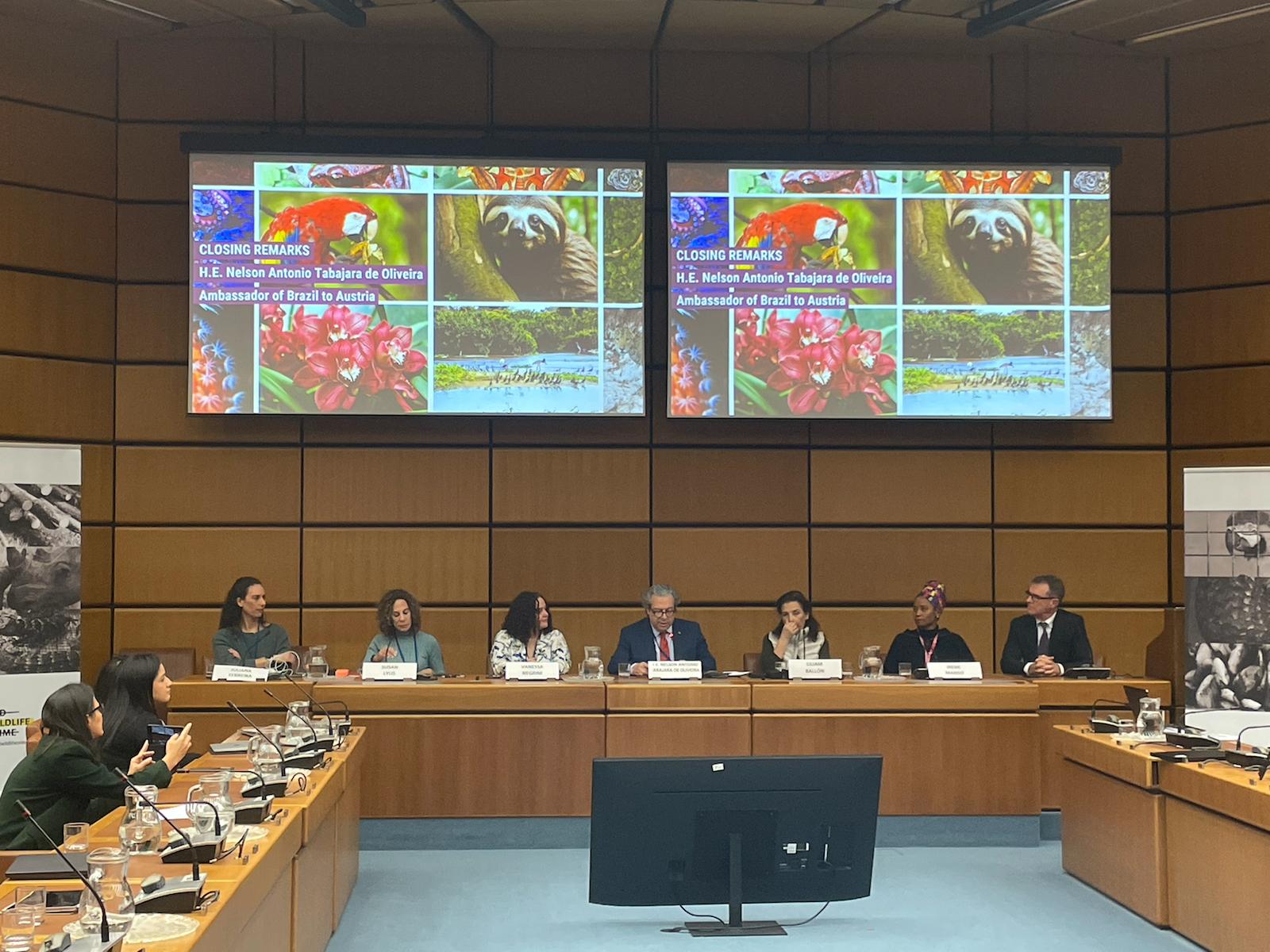 UNTOC COP 12-Plenary