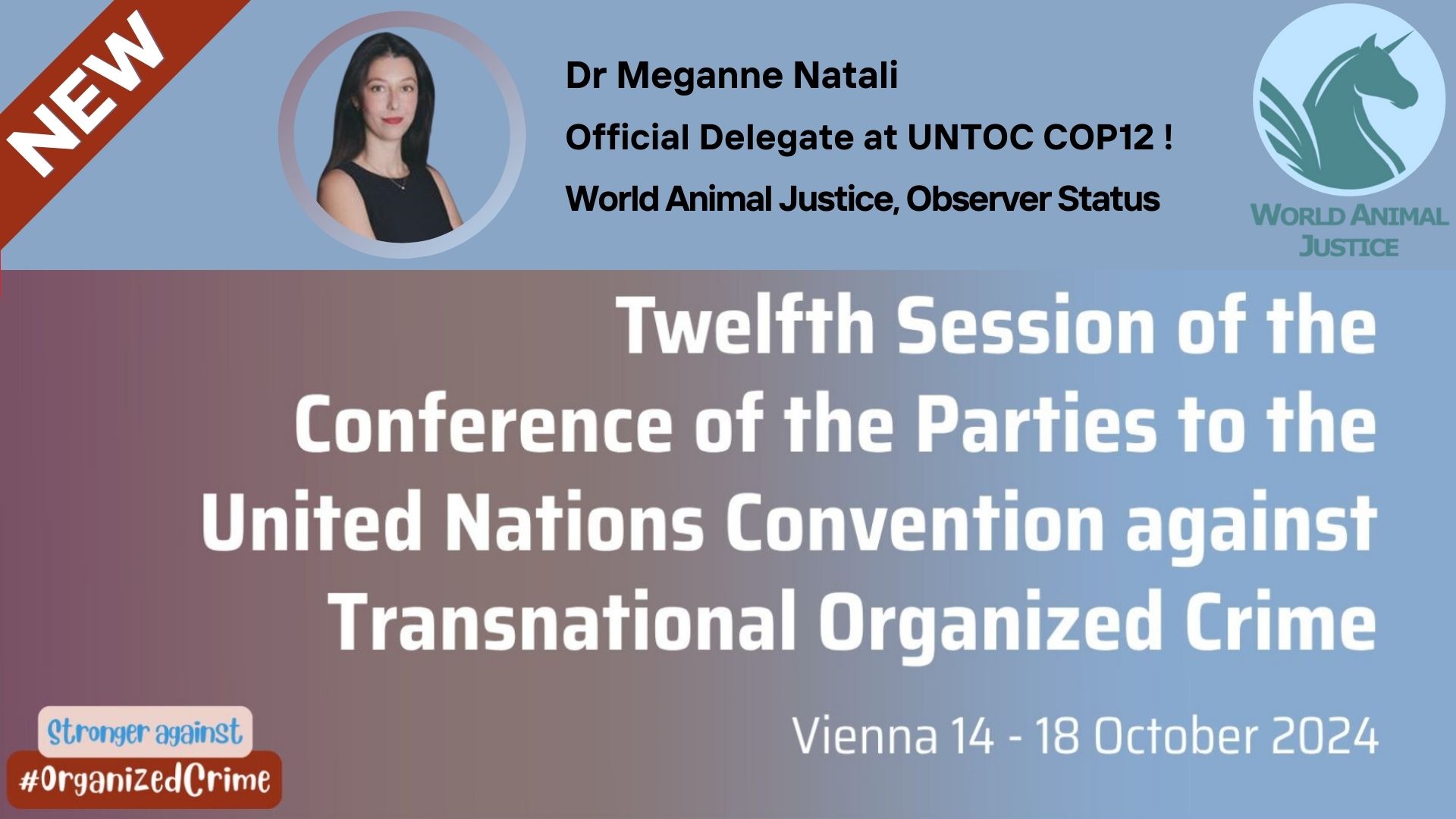 UNTOC COP12-Meganne Announcement