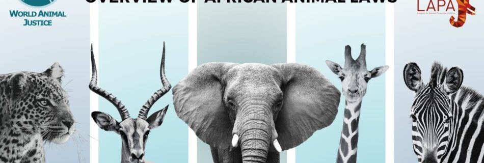 WAJ - LAPA Project African Animal Law Database