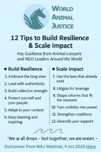 WAJ-WAD Webinar 2025 Guidance Visual