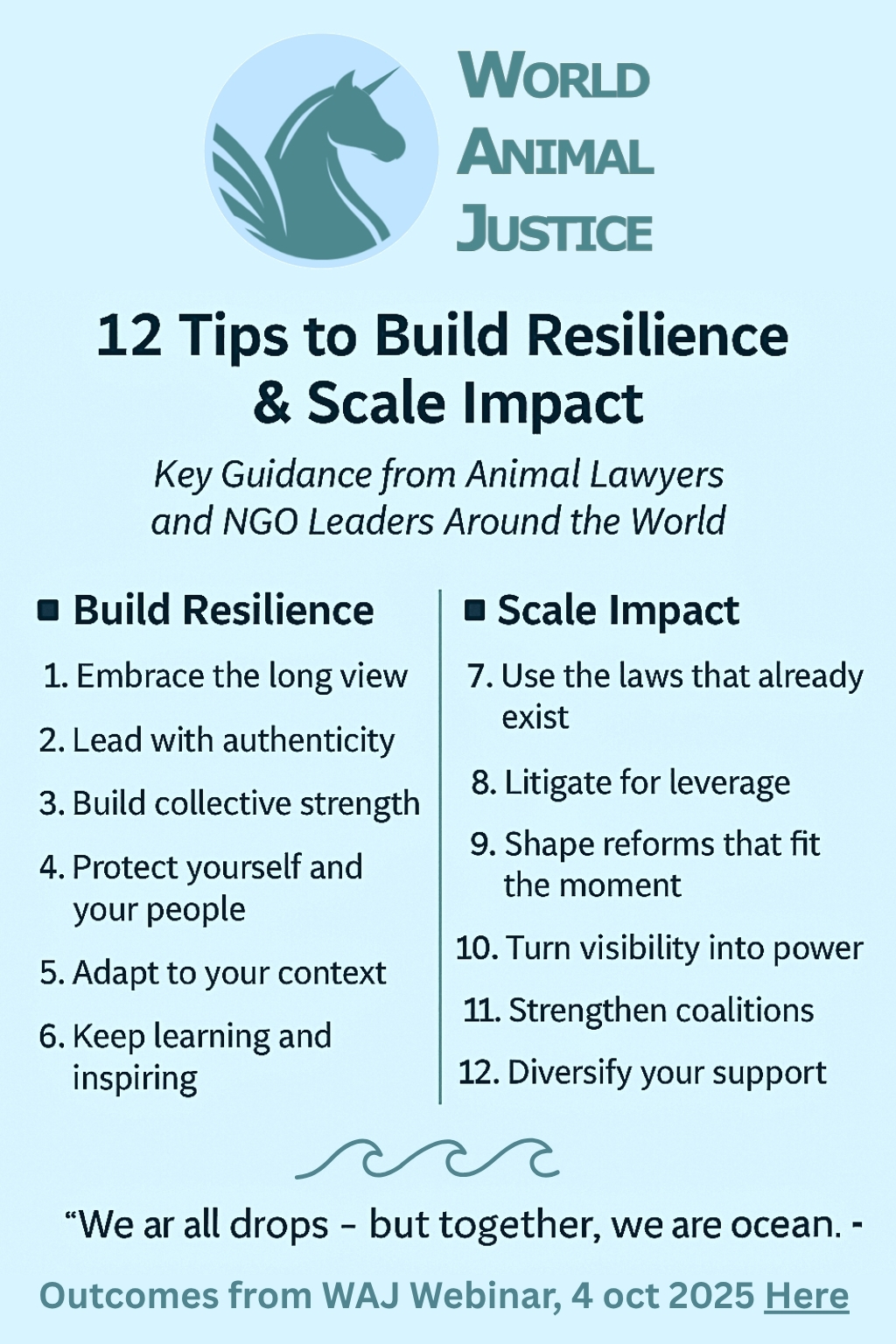 WAJ-WAD Webinar 2025 Guidance Visual