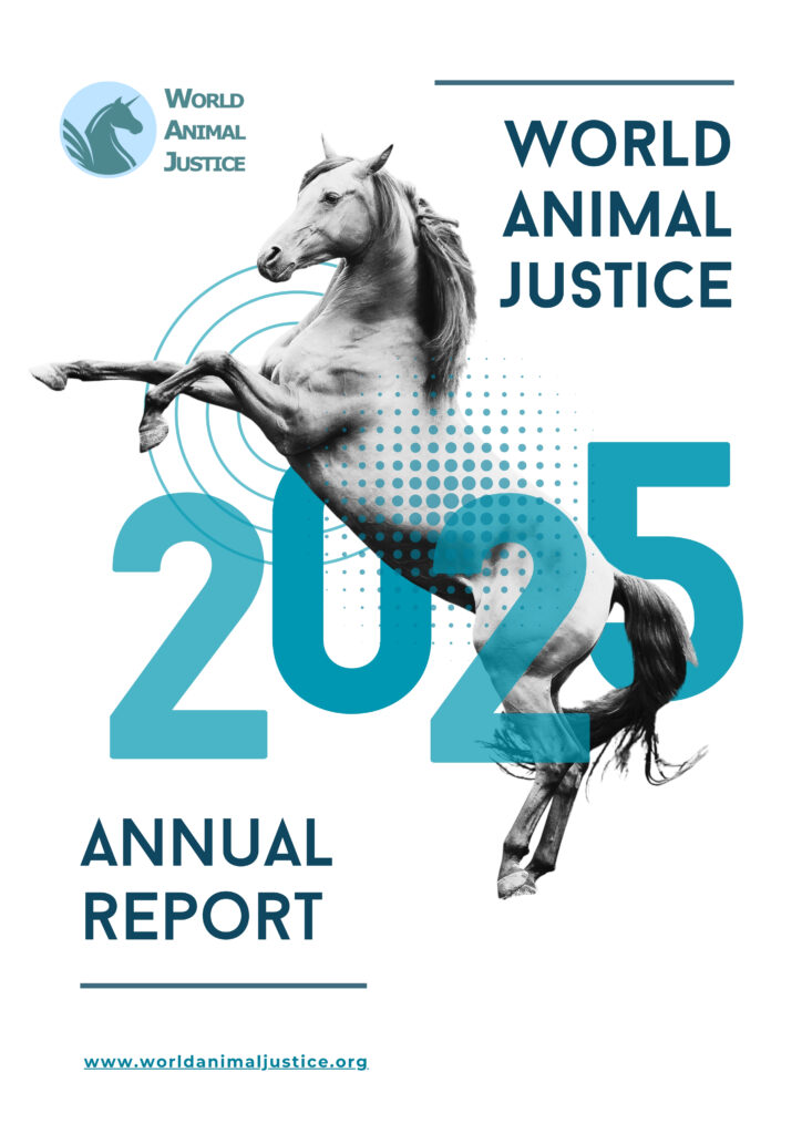 Cover-WAJ Report 2025