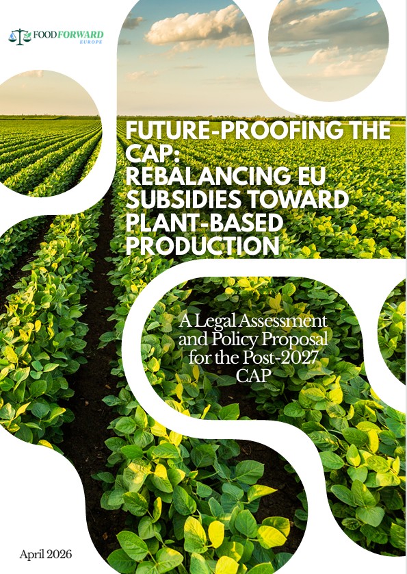 FFE Report 2026-Cover page