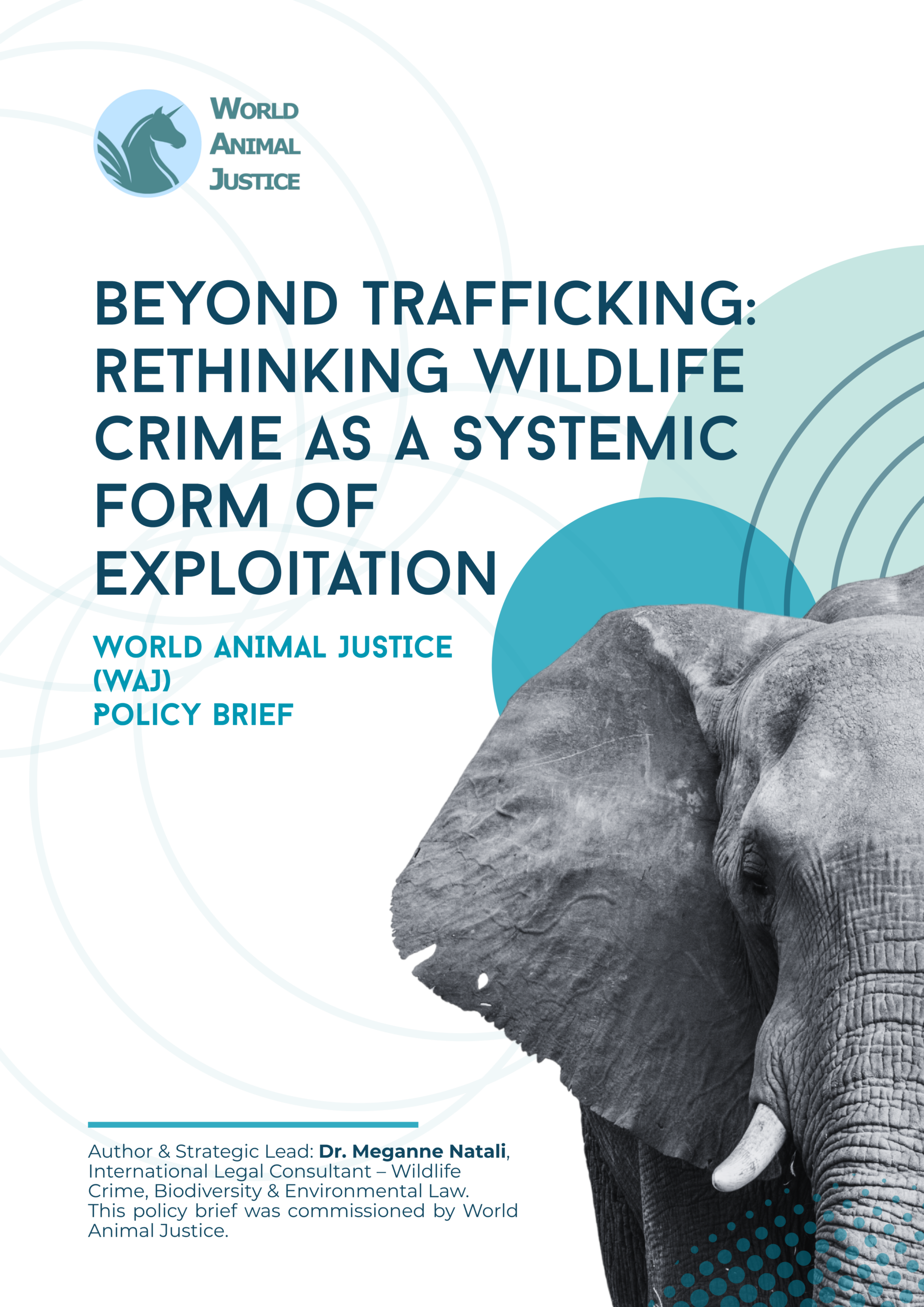 Cover page-Wildlife Crime Definition-Brief